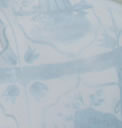 Delfts Blauw